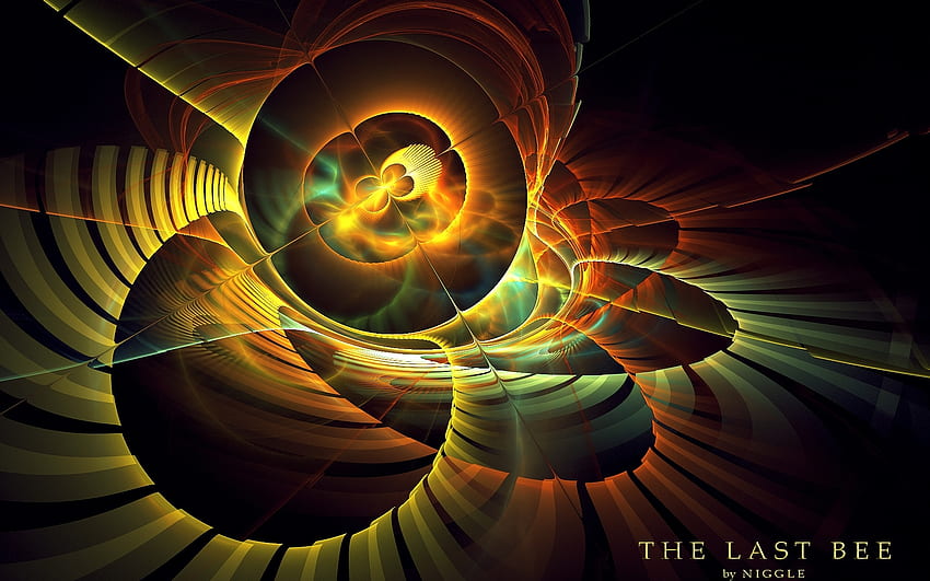 The Last Bee, circles, digital art, fractal, abstract HD wallpaper | Pxfuel