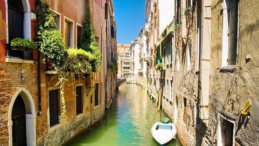 jembatan kecil di atas kanal samping di Venesia, sinar matahari, kanal, tumbuhan, kota, jembatan Wallpaper HD