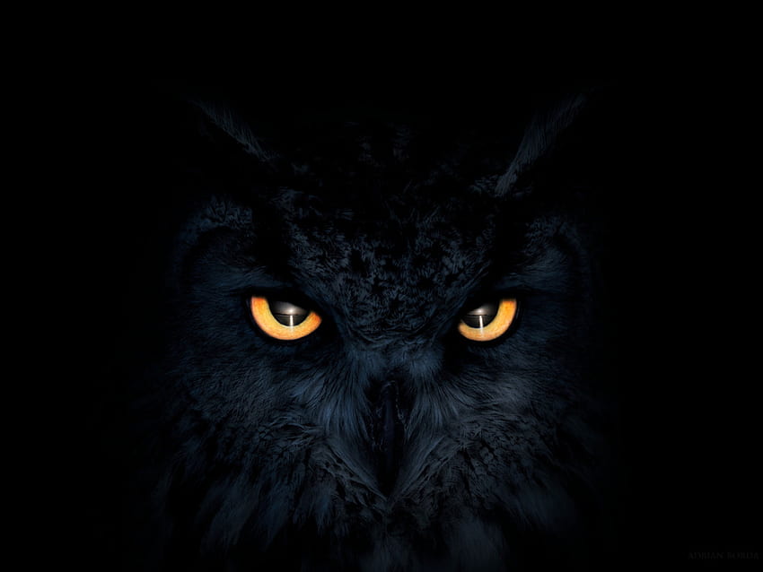 Glowing eyes 1080P, 2K, 4K, 5K HD wallpapers free download