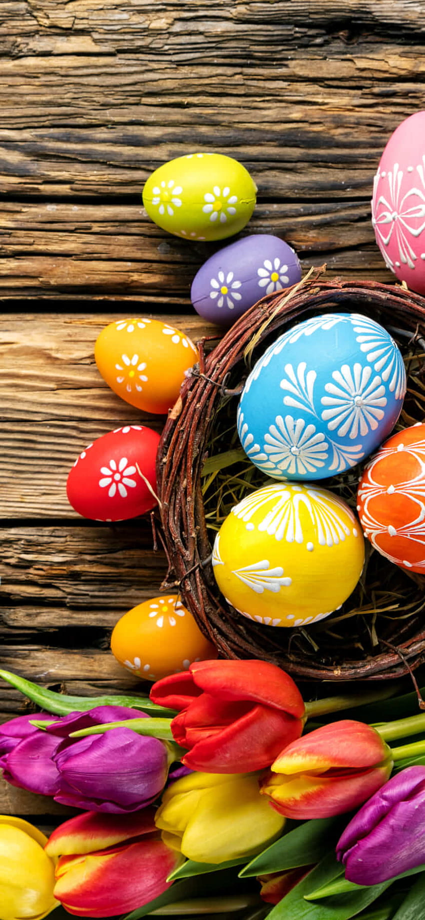 Download Celebrate Easter In Style with an Iphone Wallpaper  Wallpaperscom