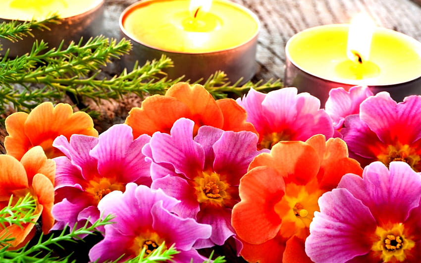 CANDLE LIGHT SPRING, Flowers, candles, peaceful, spring, calm HD wallpaper