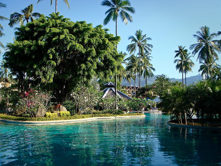 Miasta, palmy, park, basen, Tajlandia, Phuket Tapeta HD