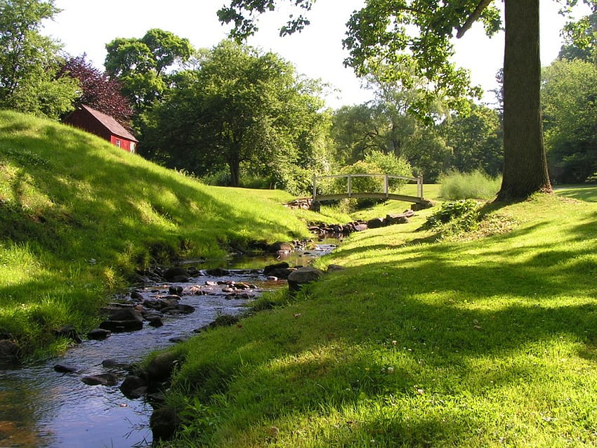 ładne i spokojne miejsce na piknik, nasłonecznienie, piękna, kolorowa trawa, zieleń Tapeta HD