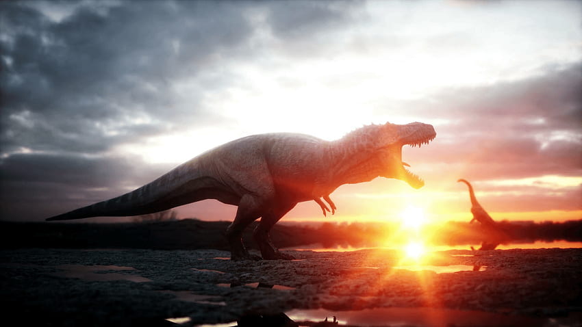 Dinosaur. Prehistoric period, rocky landscape. Wonderfull sunrise HD wallpaper