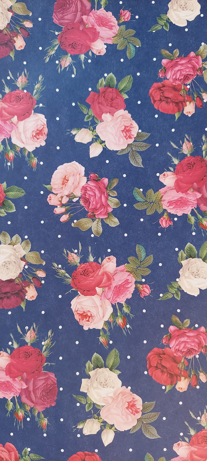 Pretty flower pattern, floral, girly, precious HD phone wallpaper