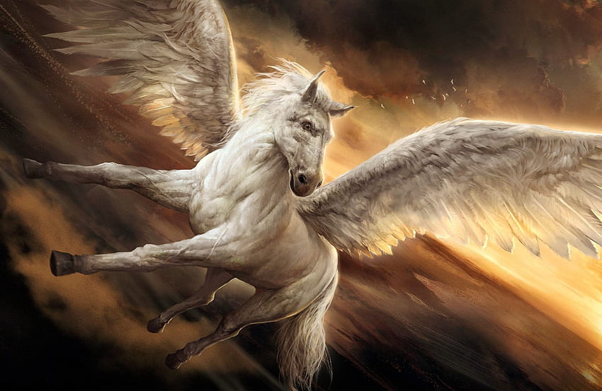 'Pegasus'...., horse, pegasus, mystical, animals HD wallpaper