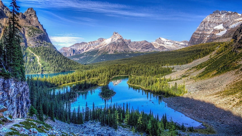 Should Federal Land And National Parks Belong To Individual States?, Denali National Park HD wallpaper