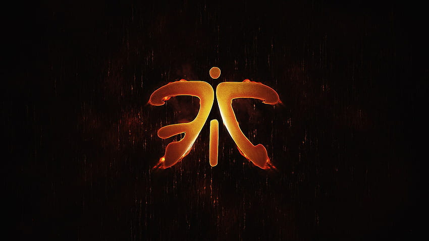 Fnatic logosu ., League of Legends Logosu HD duvar kağıdı