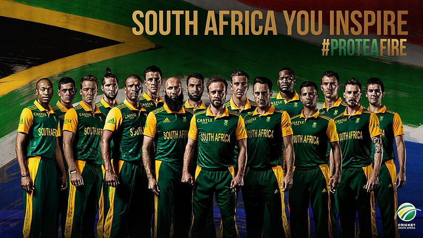 Protea terbaik. tim kriket, kriket, afrika selatan Wallpaper HD
