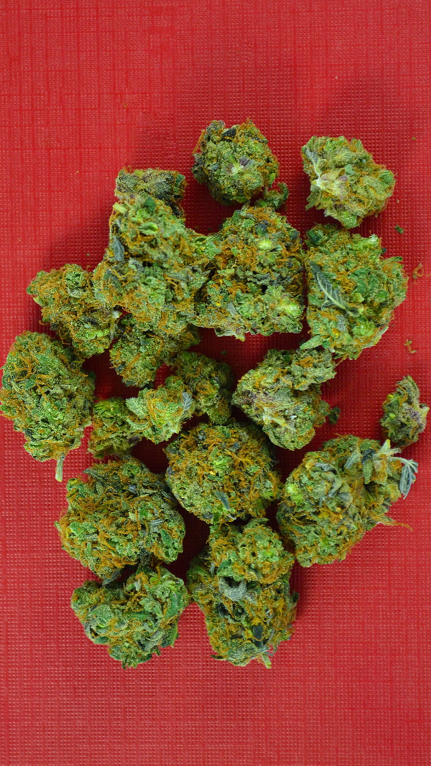 iPhone Marijuana Backgrounds - Cannabis Destiny HD phone wallpaper