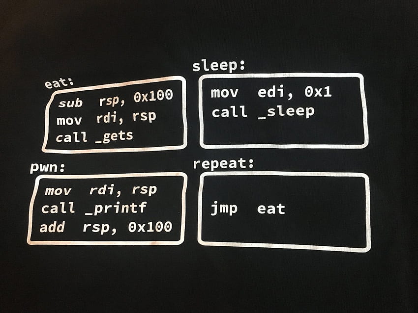 Eat Sleep Pwn Repeat - Don't want to read these big complicated binaries? Just exploit “ESPR” these 9 lines of assembler! c3ctf, Eat Sleep Code Repeat HD wallpaper