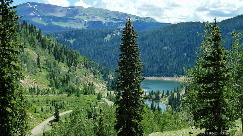 Pine Forest Lake Nature Forest Sky Tree , . Background HD wallpaper