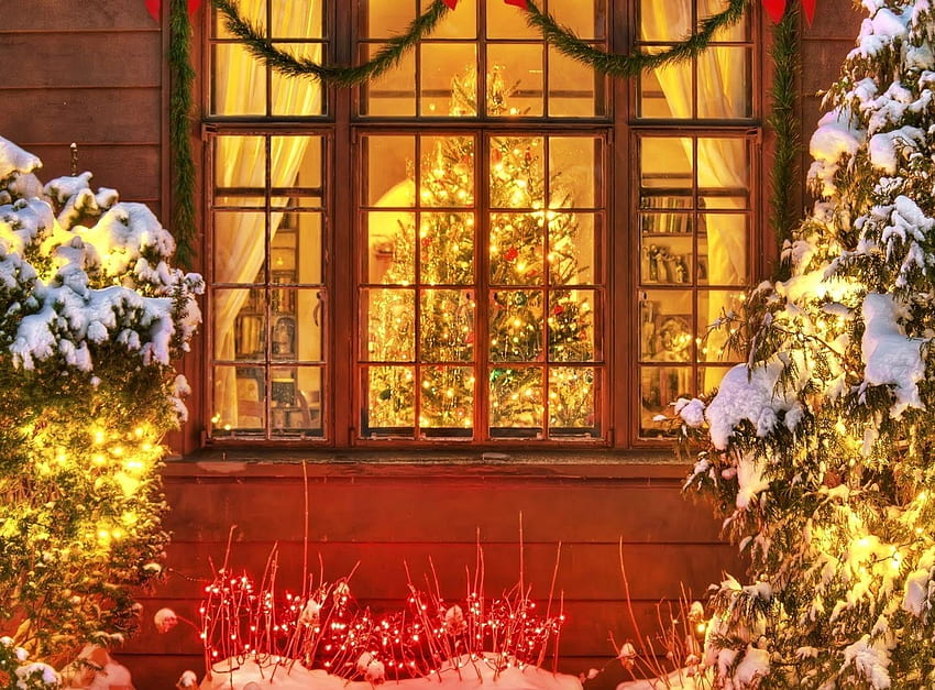 Tatiller, Yeni Yıl, Köknar Ağaçları, Noel, Pencere HD duvar kağıdı