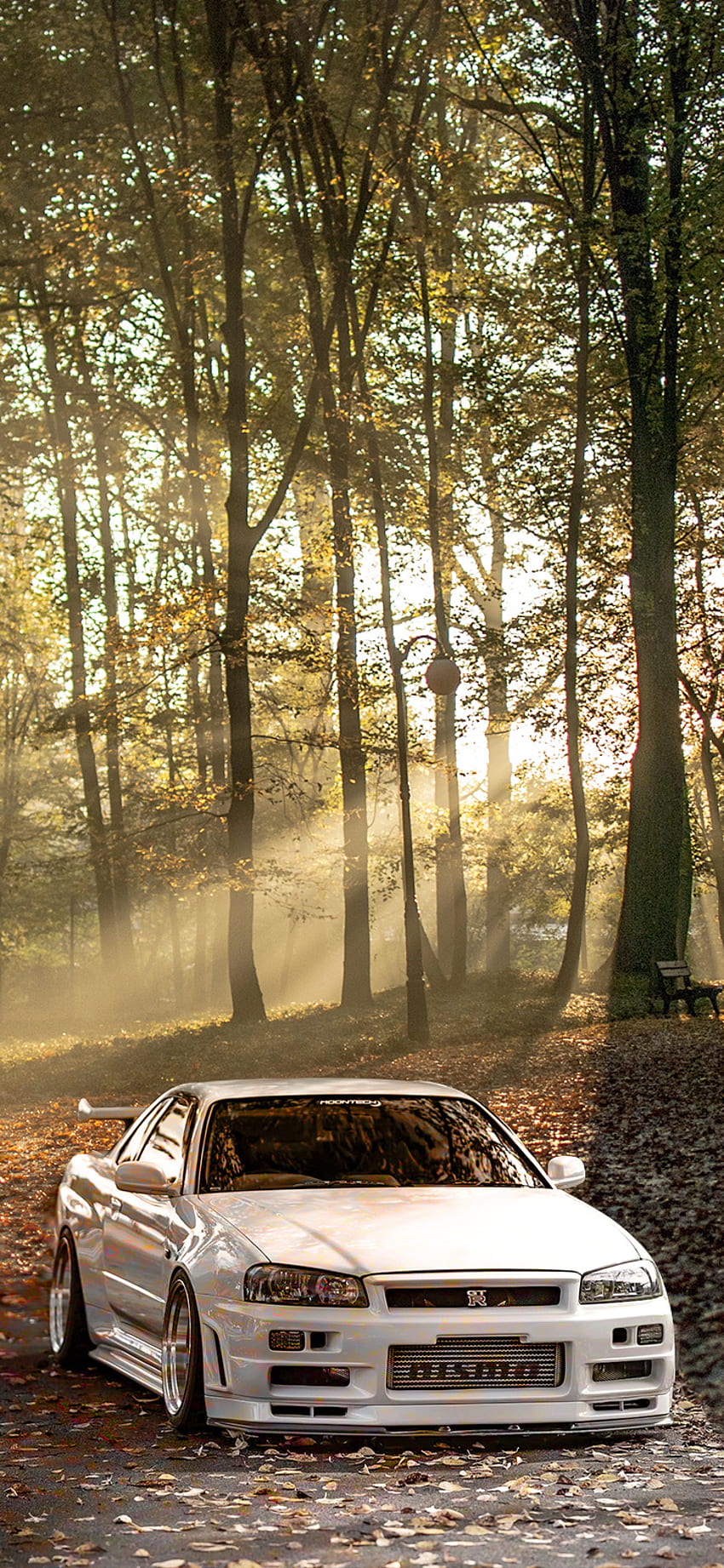 GTR Nissan Skyline R34, รถ, ป่า, ดวงอาทิตย์ วอลล์เปเปอร์โทรศัพท์ HD