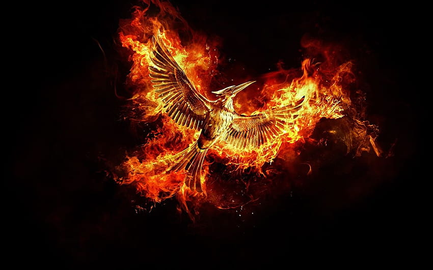 bird Phoenix mythology Fantasy Flame Black, Fire Phoenix HD wallpaper
