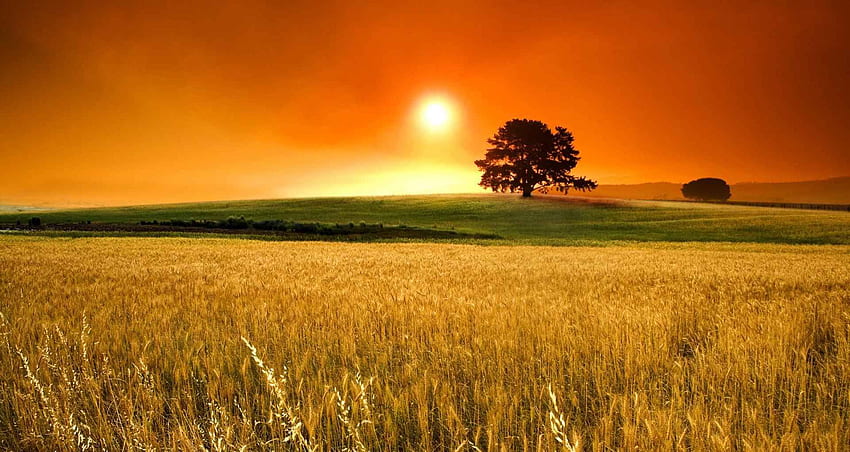 Landwirtschaftlicher Hintergrund. Sonnenuntergangslandschaft, niedliche Farmlandschaften HD-Hintergrundbild