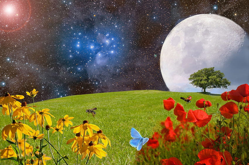 2019年5月に満月の珍しいタイプの「ブルームーン」が訪れ、それは「フラワームーン」でもあります, 花と月 高画質の壁紙