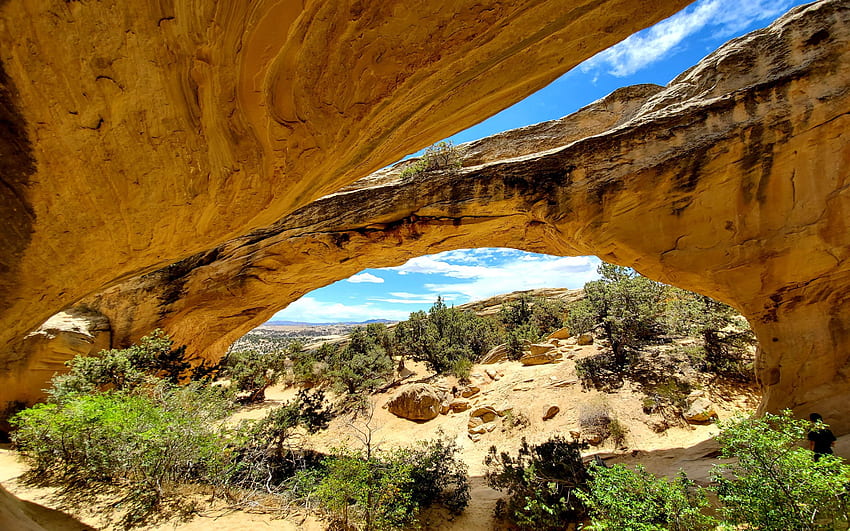 Moonshine Arch outside of Vernal, Utah, sand, trees, sky, rocks, usa HD wallpaper