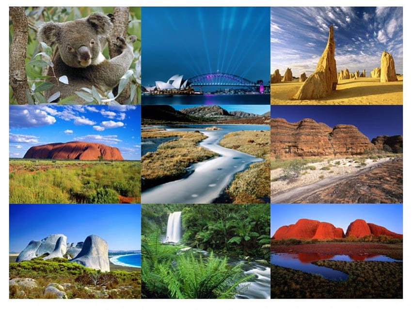 Australia in the mix, australia, koala, rainforest, desert, outback, collage HD wallpaper
