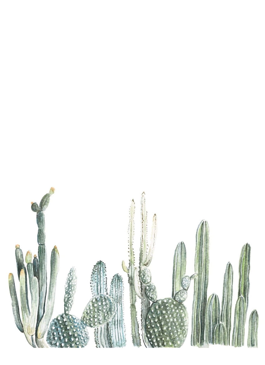 Cactus Watercolor, Aesthetic Cactus HD phone wallpaper