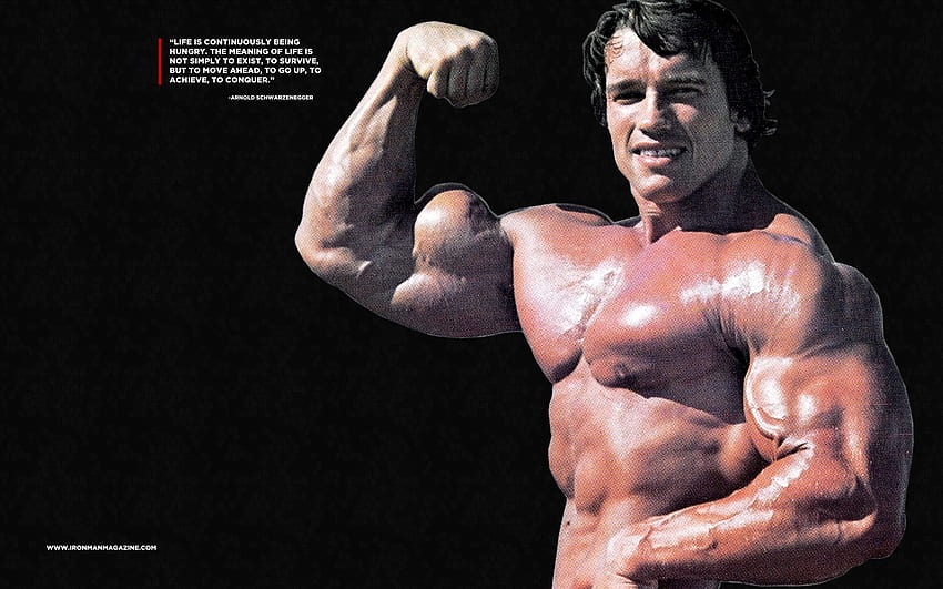 Arnold Schwarzenegger, culturismo Arnold fondo de pantalla