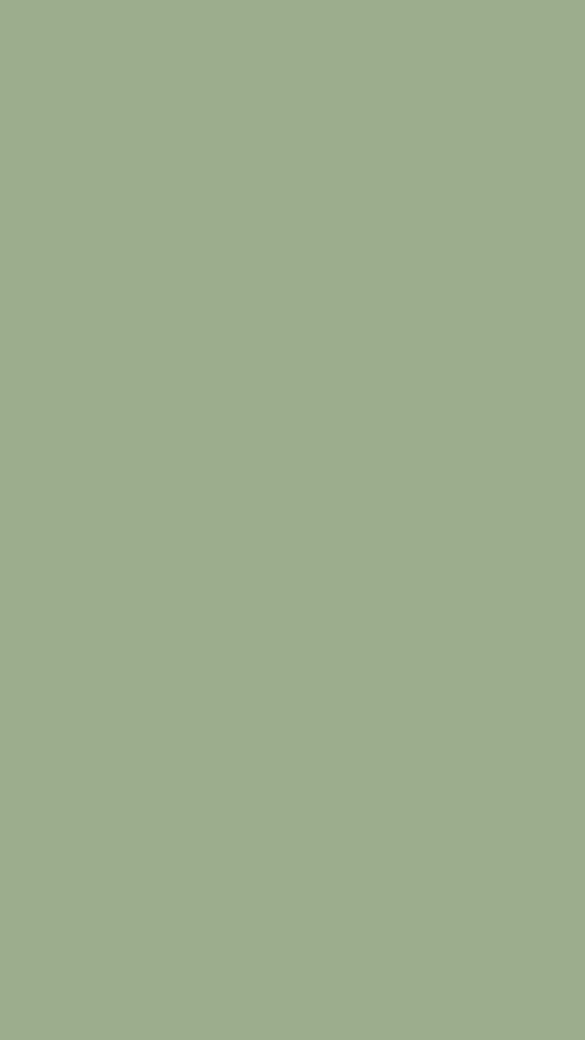 Sage Green, aesthetic ipad green HD phone wallpaper | Pxfuel