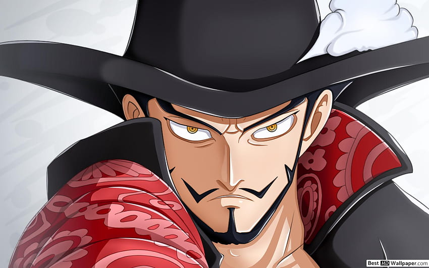 Teoria sobre Drácule Mihawk.