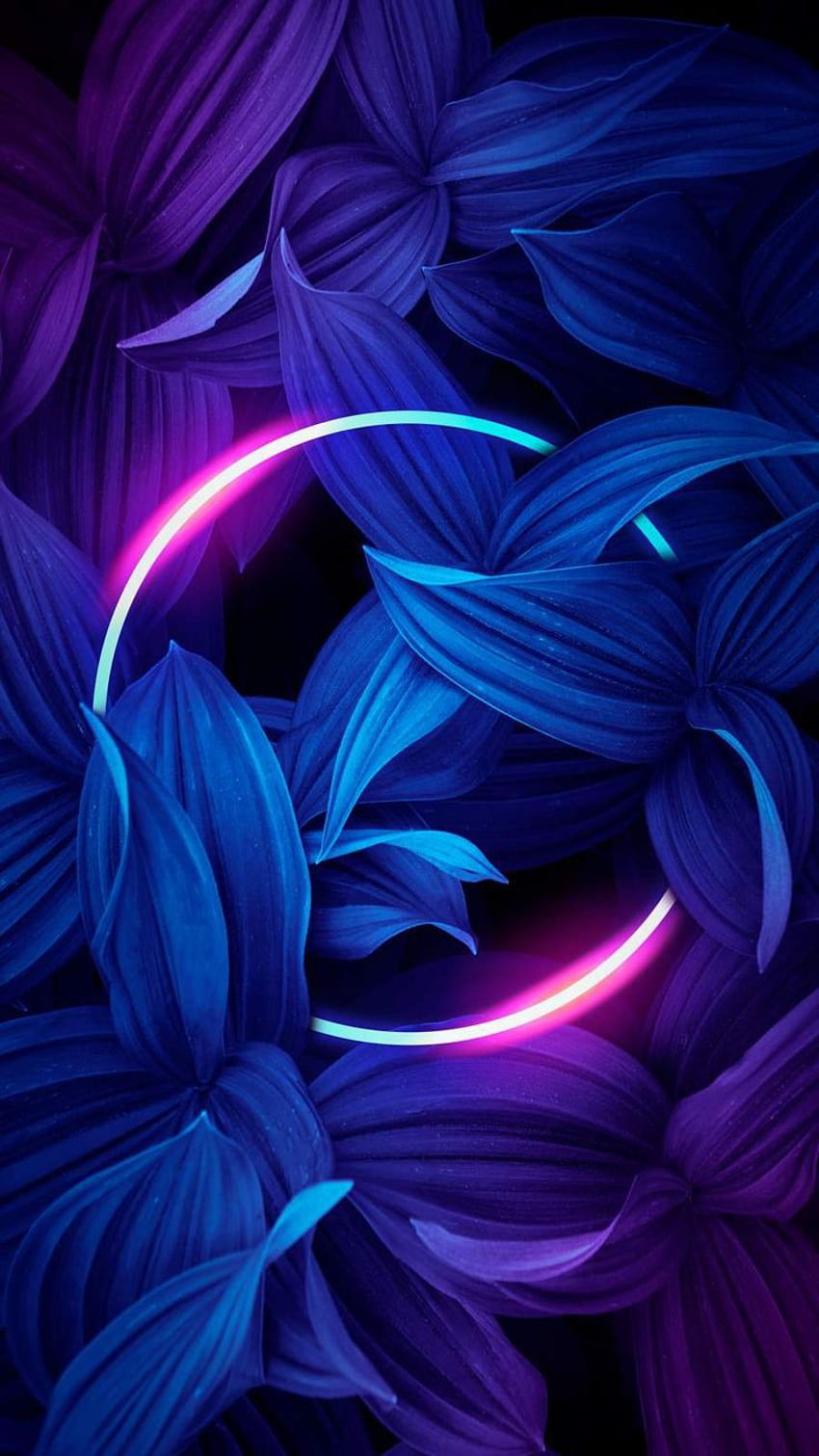 Neon Colors Wallpapers  Top Free Neon Colors Backgrounds  WallpaperAccess