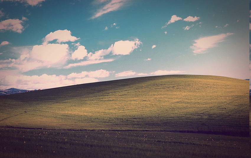 Windows XP 잔디 언덕 - - HD 월페이퍼