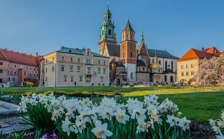 Wawel Castle at Spring, Krakow, narcissus, castle, Poland, church HD wallpaper