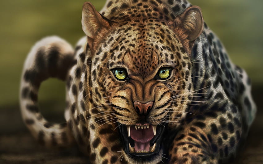 cat, art, growl, face, look, leopard 80800, 1680X1050 Leopard HD wallpaper