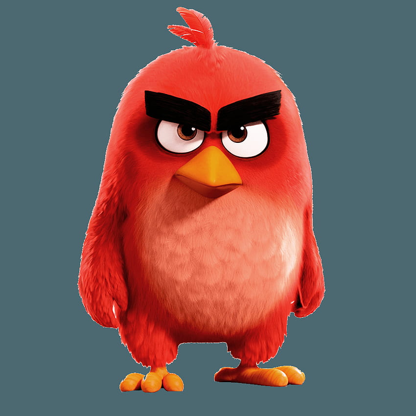 Free download Cute The Angry Birds Movie 4K Wallpaper Free 4K Wallpaper [ 1920x1080] for your Desktop, Mobile & Tablet | Explore 78+ Free Cute  Wallpaper | Cute Free Wallpapers, Cute Wallpapers Free,