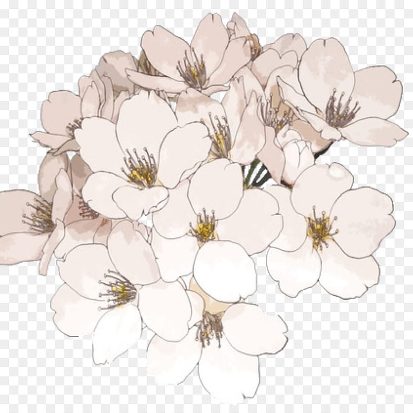 Прозрачна рисунка на цвете Tumblr, Прозрачна рисунка на цвете Tumblr png, ClipArts в библиотека с клипарти, Естетични карикатури с цветя HD тапет за телефон