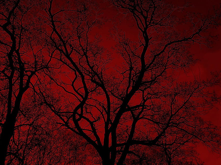 miiriiammp auf rot;. Gruselig, schwarze Ästhetik, roter Grunge HD-Hintergrundbild