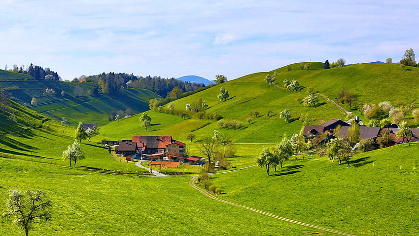 말 농장, 말 농장 - 언덕과 계곡 - & 배경, 귀여운 농장 HD 월페이퍼