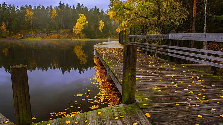 Beautiful Scenery Wood Dock Yellow Green Autumn Leaves Trees Forest Reflection On Lake Nature HD wallpaper