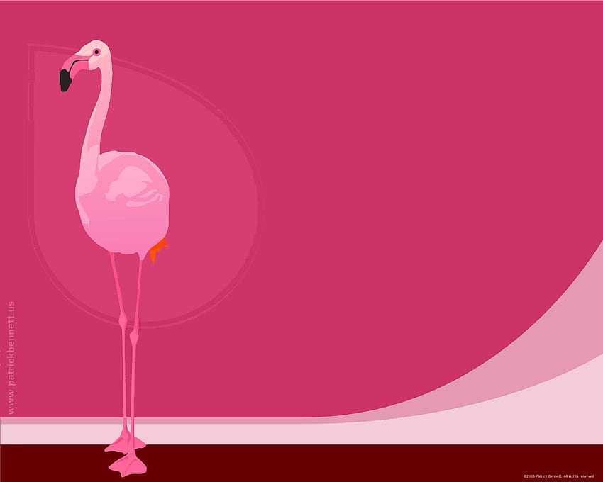 Flamingo gif by nenniferm. bucket. Flamingo , Flamingo color, Pink flamingo, Neon Pink Flamingo HD wallpaper