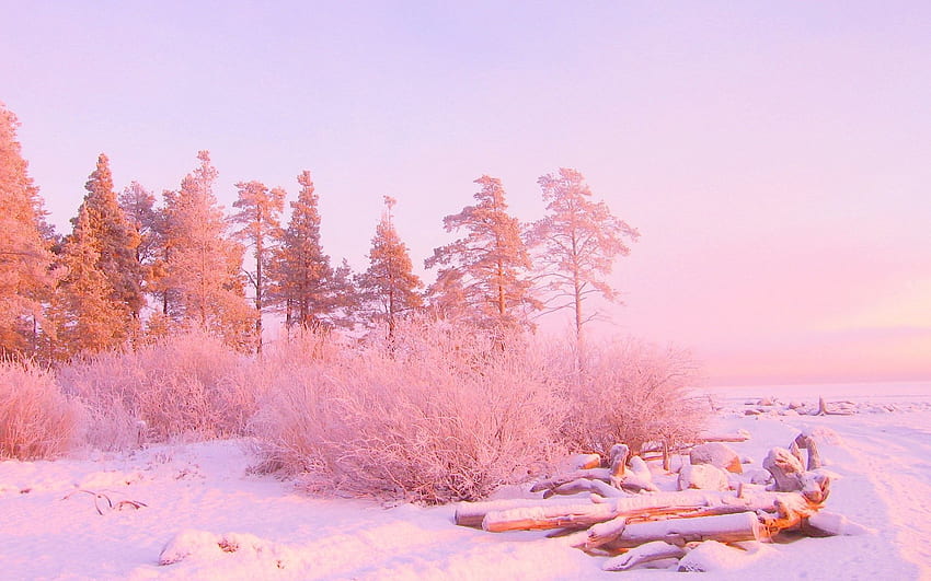 Природа, дървета, сняг, блясък, светлина, преспи, трупи, декември HD тапет