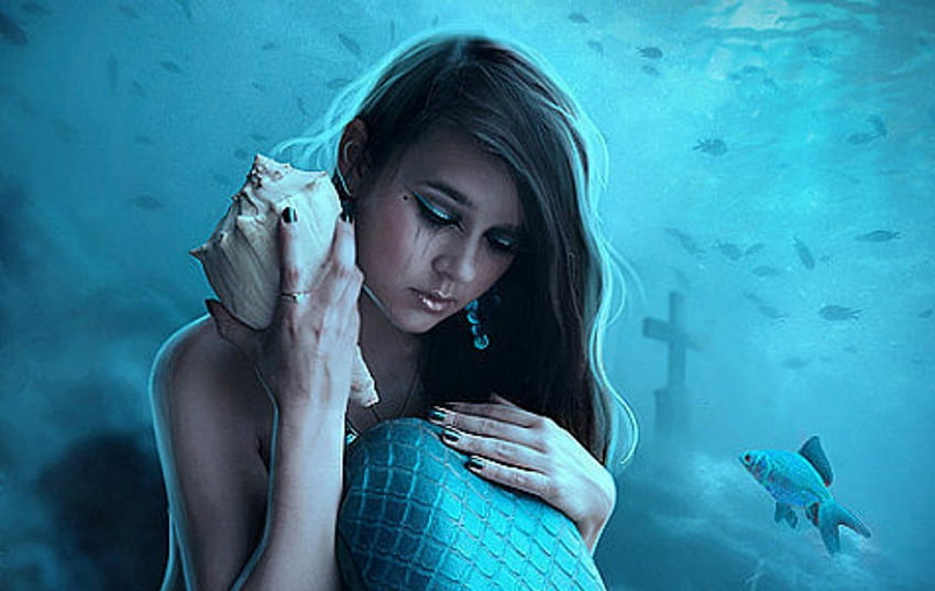 Mermaid, shell, fantasy, woman HD wallpaper | Pxfuel