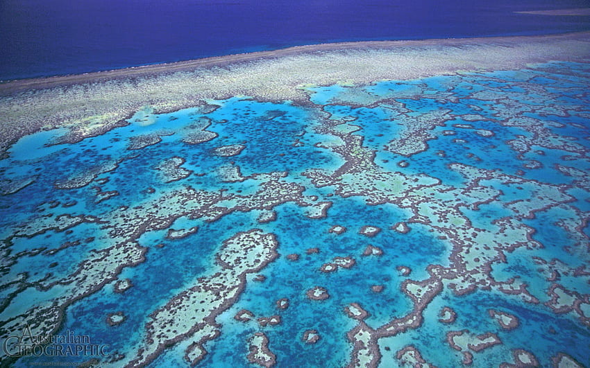 Grande Barreira de Coral papel de parede HD
