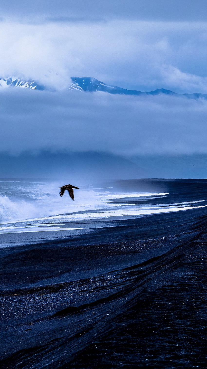 Aigle volant sur la mer Vagues, vagues de la mer, aigle, voler, océan, nature, oiseau Fond d'écran de téléphone HD