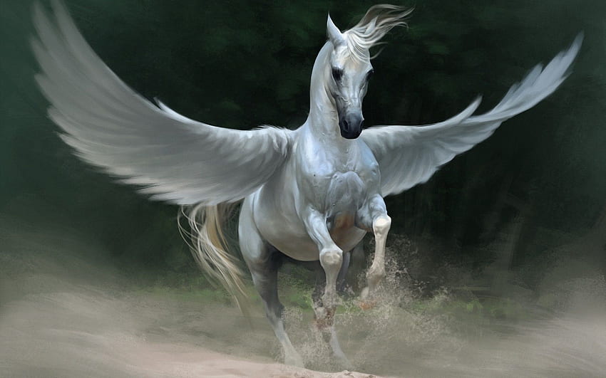 Pegasus HD wallpaper