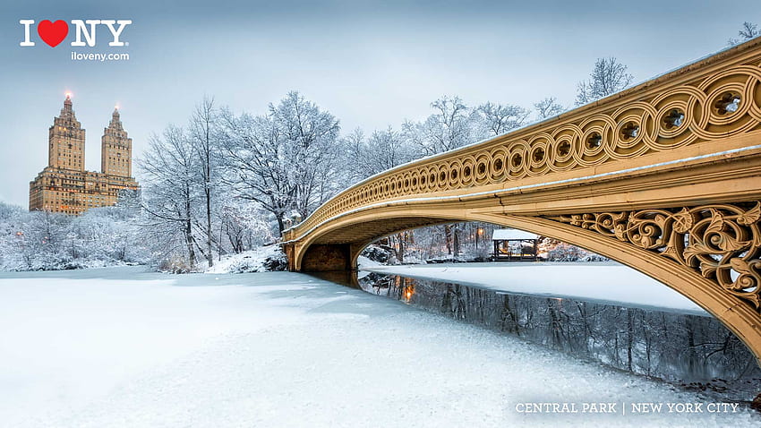 Фон за видеоконференции, включващ забележителности и пейзажи на щата Ню Йорк през зимата, NYC Winter HD тапет