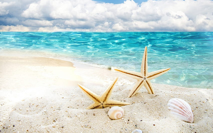 Szczęśliwego lata!, błękit, morze, lato, muszla, piasek, strafish, plaża Tapeta HD