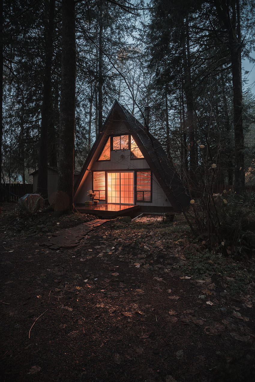집, 자연, 나무, 숲, 아늑함, 편안함 HD 전화 배경 화면