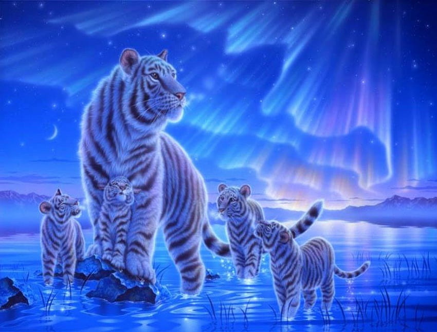 Tigres sob a luz ártica, filhote, tigre, gato grande, fofo, gato selvagem, gato, selvagem, norte, lua, fantasia, resumo, luz do norte, ártico, gelo papel de parede HD