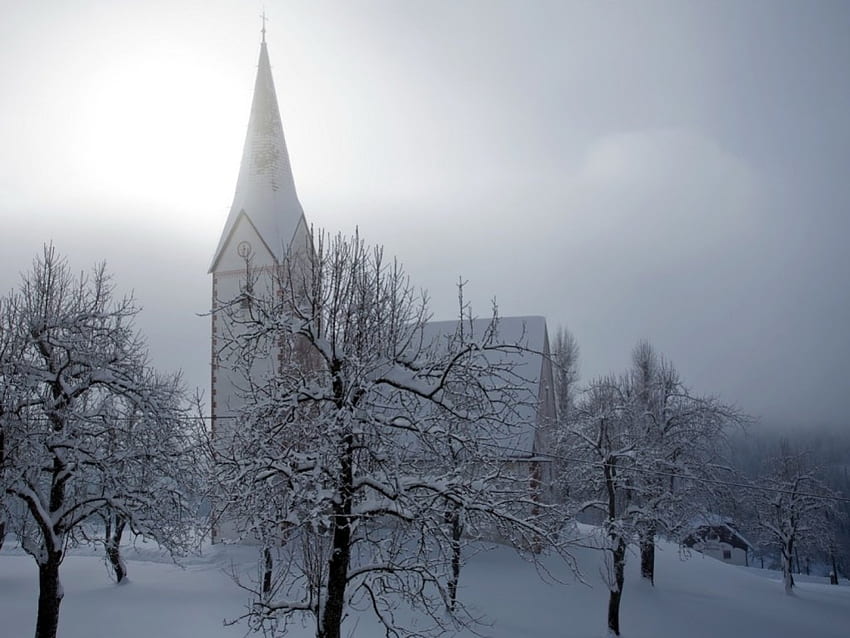 The white church, winter, trees, white, snow HD wallpaper