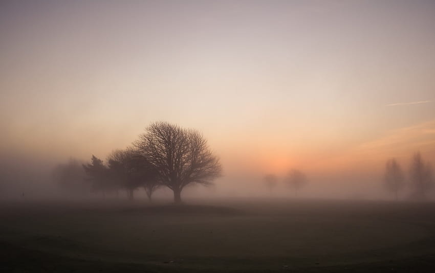 Lever du soleil matinal brumeux. Stock Foggy Morning Sunrise Fond d'écran HD