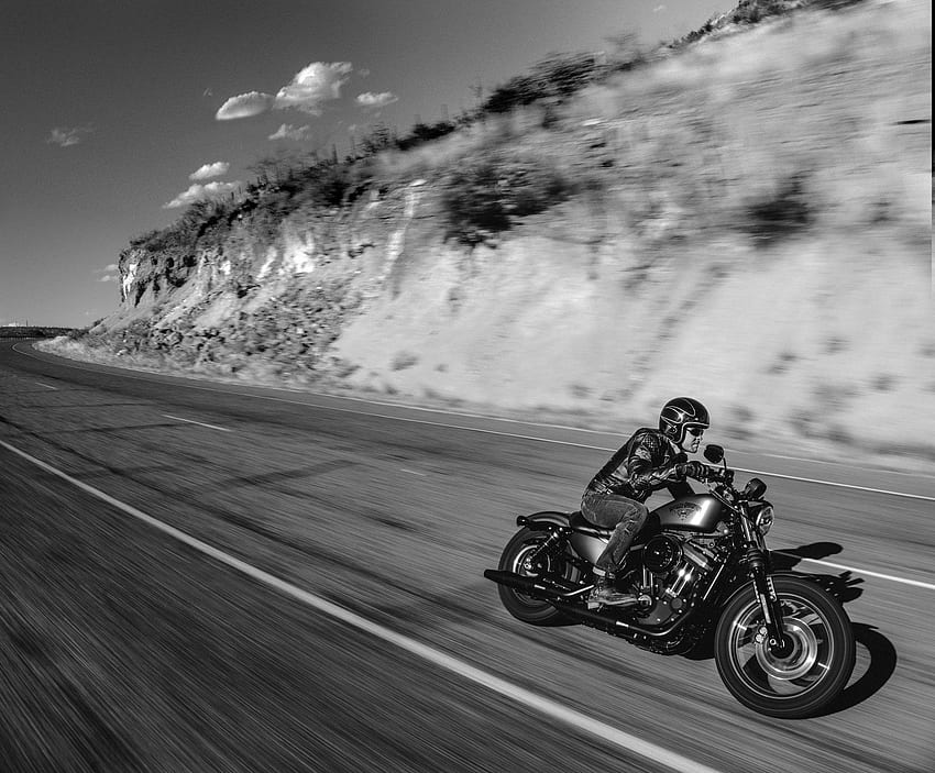 Harley Davidson Iron 883 motorbike bike motorcycle, Harley-Davidson Iron 883 HD wallpaper