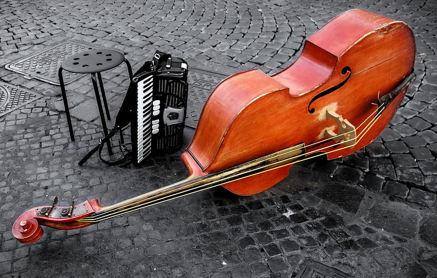 violin, double bass, instrumentos, rope for , section музыка HD wallpaper